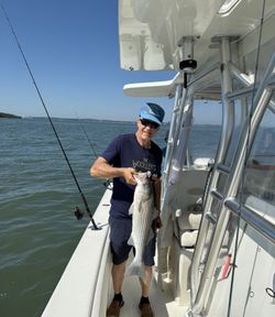 A person fishing for a striped bass in Hingham