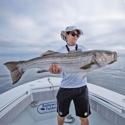 Striped bass caught by angler in Hingham