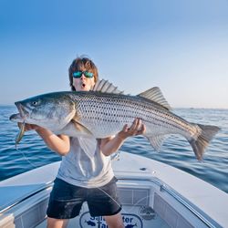 Striped bass caught while fishing in Hingham