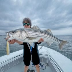 Striped bass fish caught by angler in Hingham