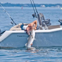 Striped bass caught while fishing in MA