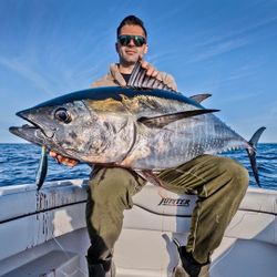 Yellowfin tuna, 43 inches, caught fishing in MA
