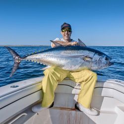 Yellowfin Tuna, a 53-inch fishing catch, in Hingham
