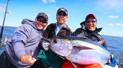 Yellowfin tuna, a large fish, caught in Hingham