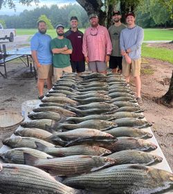 Hooked on fishing – the ultimate catch of the day