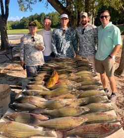 Fishing vibes and big catches – what a perfect day