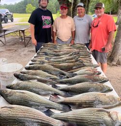 Big fishing catch of 5 fish in Appling
