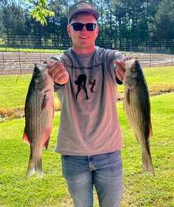 Two wiper and striped bass caught in Appling