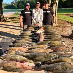 Group of three anglers fishing in GA