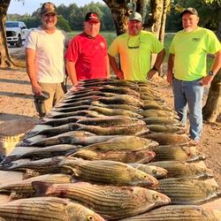 Fishing adventure in GA with 4 people