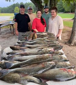 Group of 5 people fishing in Georgia, with wiper and striped bass caught