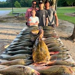 4 people fishing in Appling