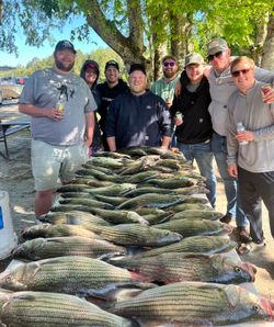 4 striped bass caught in Appling