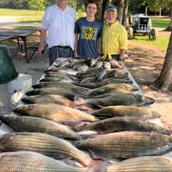 5 striped bass caught on fishing trip in GA