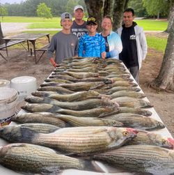 3 striped bass caught in GA