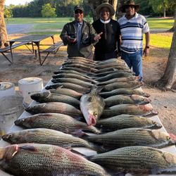 Seven huge fish caught by three people in GA