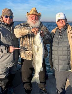 Striped bass caught by 3 people in Appling