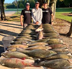 3 striped bass caught while fishing in Appling