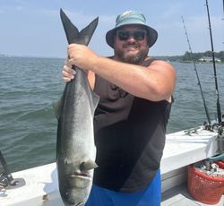 Bluefish catch displayed on fishing boat in Greenport NY