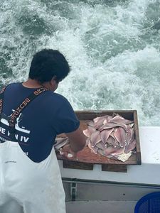 Fishing in Greenport
