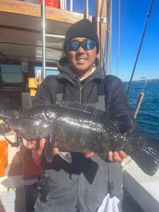 Greenport fishing adventure