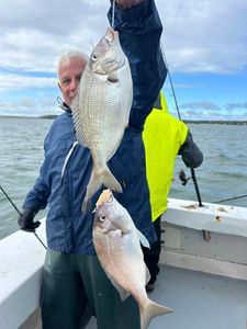 Two scup fish caught during fishing trip in Greenport NY