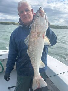 Angler holding large squeteague fish on boat deck in Greenport NY waters