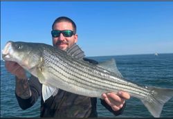 Striped bass caught fishing in Greenport NY waters