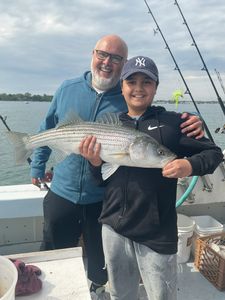 Striped bass catch on fishing boat in Greenport NY