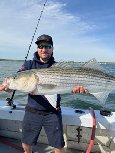 Striped bass caught fishing in Greenport NY waters from boat