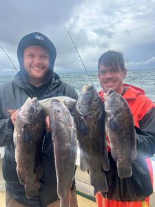4 fishing rod caught fish on a NY pier