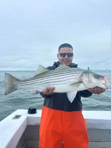 Striped bass caught while fishing in NY