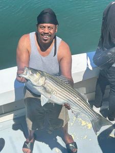 Striped Bass fishing in Greenport