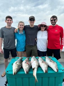 4 striped bass caught fishing in NY