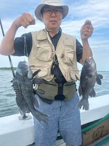 Two sea bass caught on a fishing trip in NY