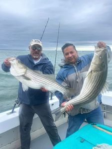 Two striped bass fishing in New York