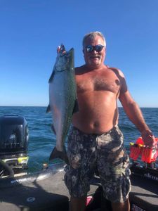 Chinook Salmon in Lake Michigan