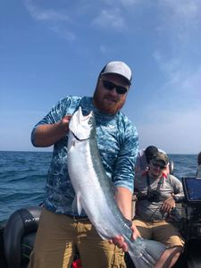 Lake Michigan's Salmon