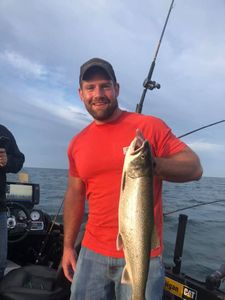 Lake Michigan's Steelhead Trout
