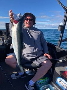 Lake Michigan Salmon