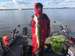 Northern Pike in Lake Michigan
