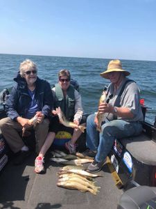 Nice Brown Trout in Lake Michigan