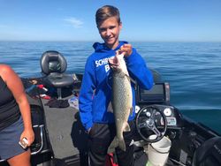 Lake Trout in Lake Michigan