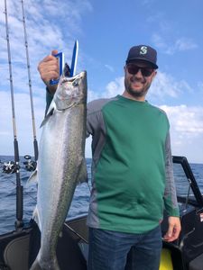 Chinook Salmon caught while fishing in MI
