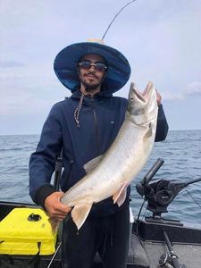 Lone angler fishing in MI
