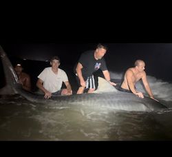 Three people fishing in FL