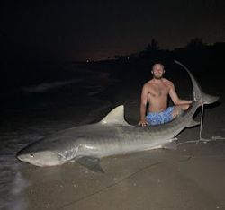 Bonnethead shark fishing in FL