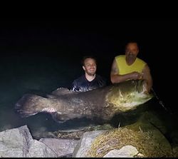 Two people fishing on the beach in Madeira Beach