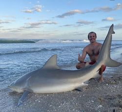 Sandbar shark caught while fishing in FL