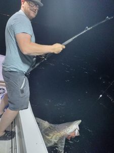 Angler fishing in Florida